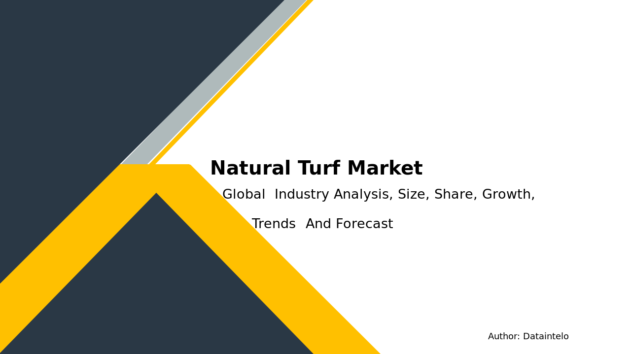 Natural Turf Market Research Report 2032