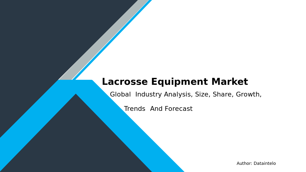 Lacrosse Equipment Market Research Report 2032